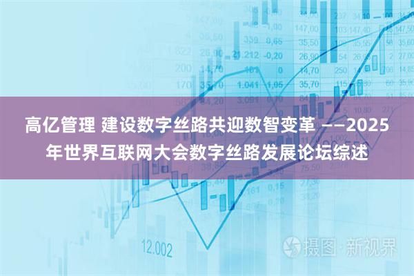 高亿管理 建设数字丝路共迎数智变革 ——2025年世界互联网大会数字丝路发展论坛综述