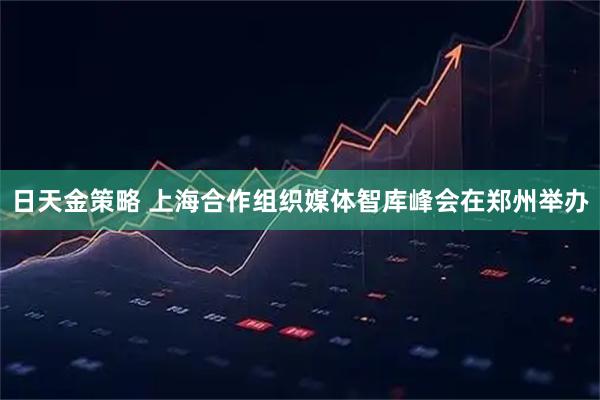 日天金策略 上海合作组织媒体智库峰会在郑州举办