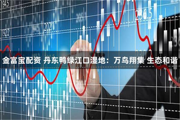 金富宝配资 丹东鸭绿江口湿地：万鸟翔集 生态和谐