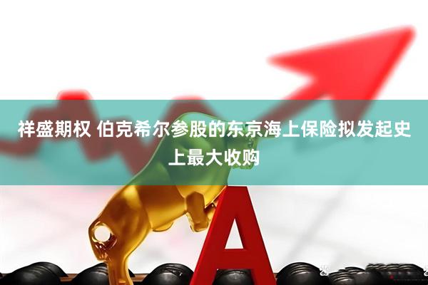 祥盛期权 伯克希尔参股的东京海上保险拟发起史上最大收购